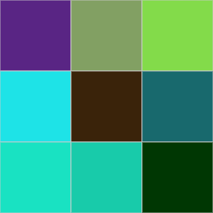 Mastery of Consciousness